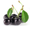 Supliment lichid antioxidant, din suc BIO de Acai si cirese negre, Life Care®